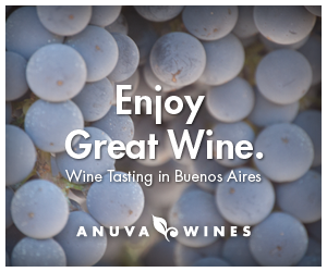 Anuva Wines - Tasting in Buenos Aires